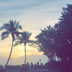 Meet your Posher, Sullivan